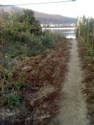 Sendero al malecn. Petn, Orense